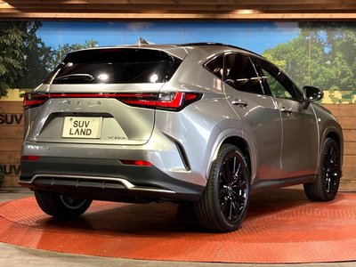 2023 Lexus NX thumbnail 17