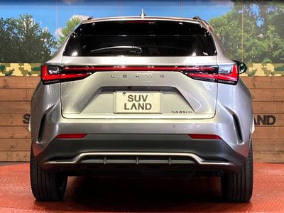 2023 Lexus NX thumbnail 15