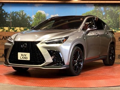 2023 Lexus NX thumbnail 31
