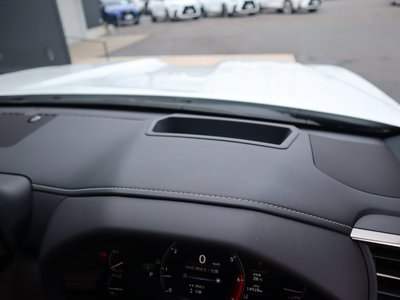 2024 Lexus LX 缩略图 67