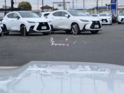 2024 Lexus LX 缩略图 30