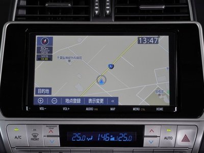 TOYOTA LAND CRUISER PRADO - 8