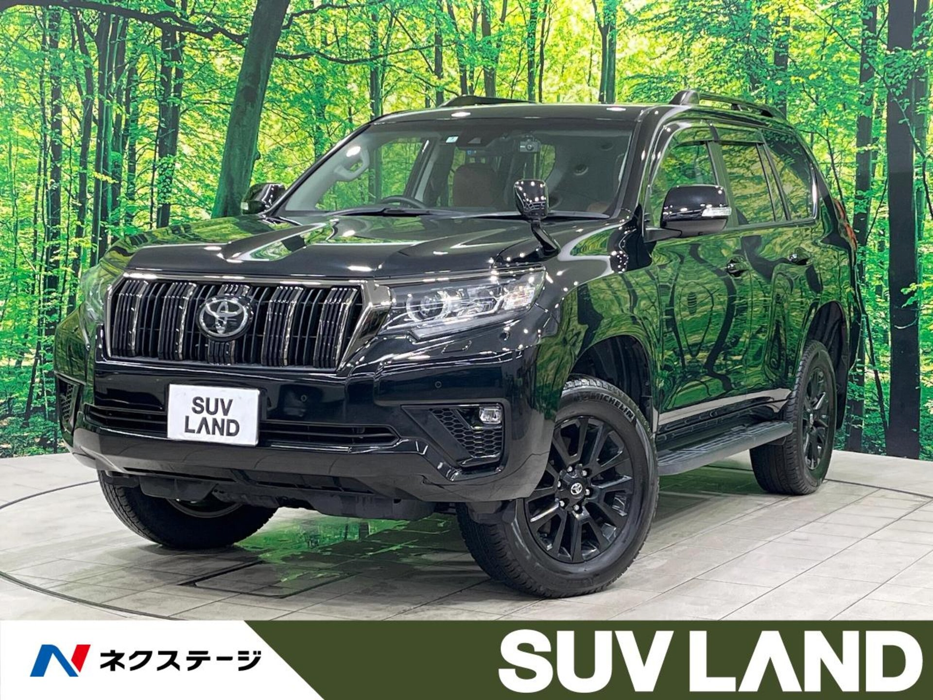 TOYOTA LAND CRUISER PRADO - View 1