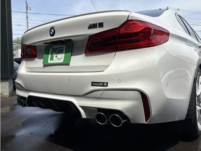 2018 BMW M5 照片 10