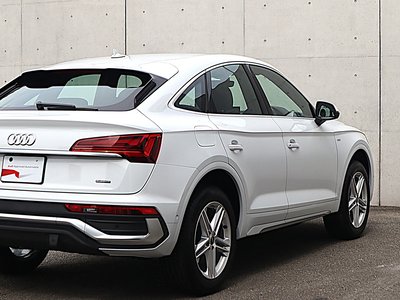 2025 AUDI Q5 SPORTBACK 缩略图 12