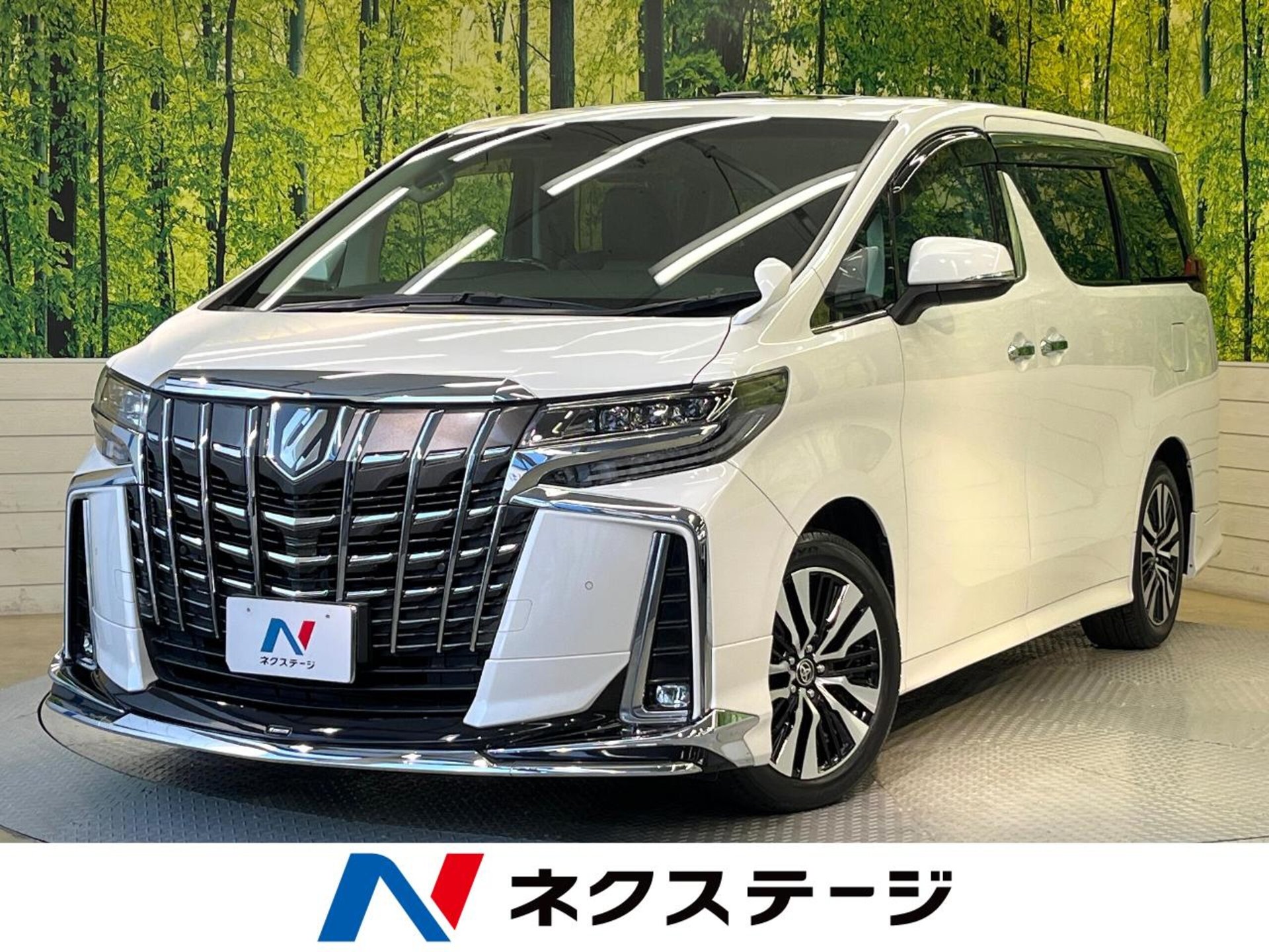 TOYOTA ALPHARD - View 1