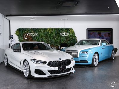 2021 BMW 8 SERIES 缩略图 25