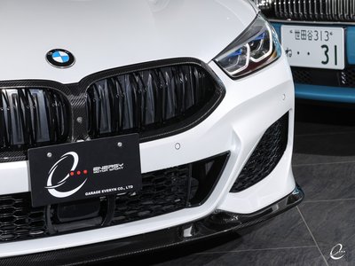 2021 BMW 8 SERIES 缩略图 14