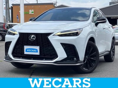 2024 Lexus NX 照片 2
