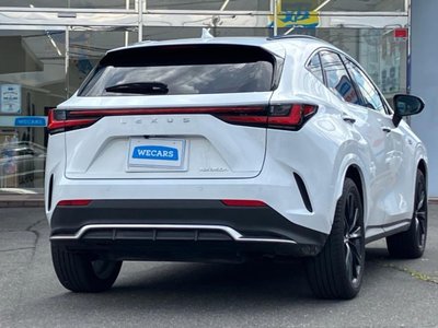 2024 Lexus NX 照片 4