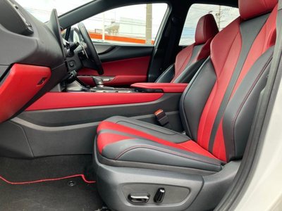 2024 Lexus NX 照片 6