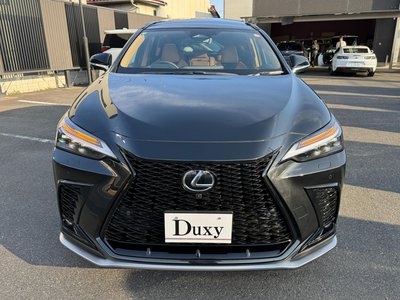 LEXUS NX - 6