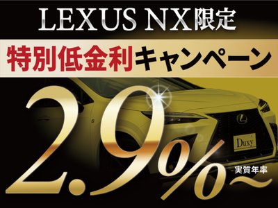 LEXUS NX - 3