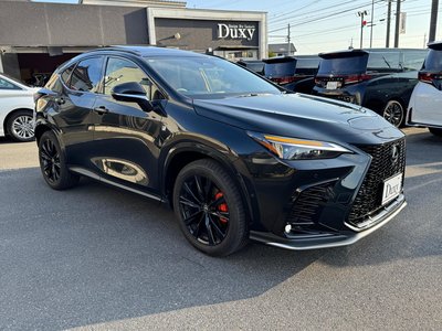 LEXUS NX - 10