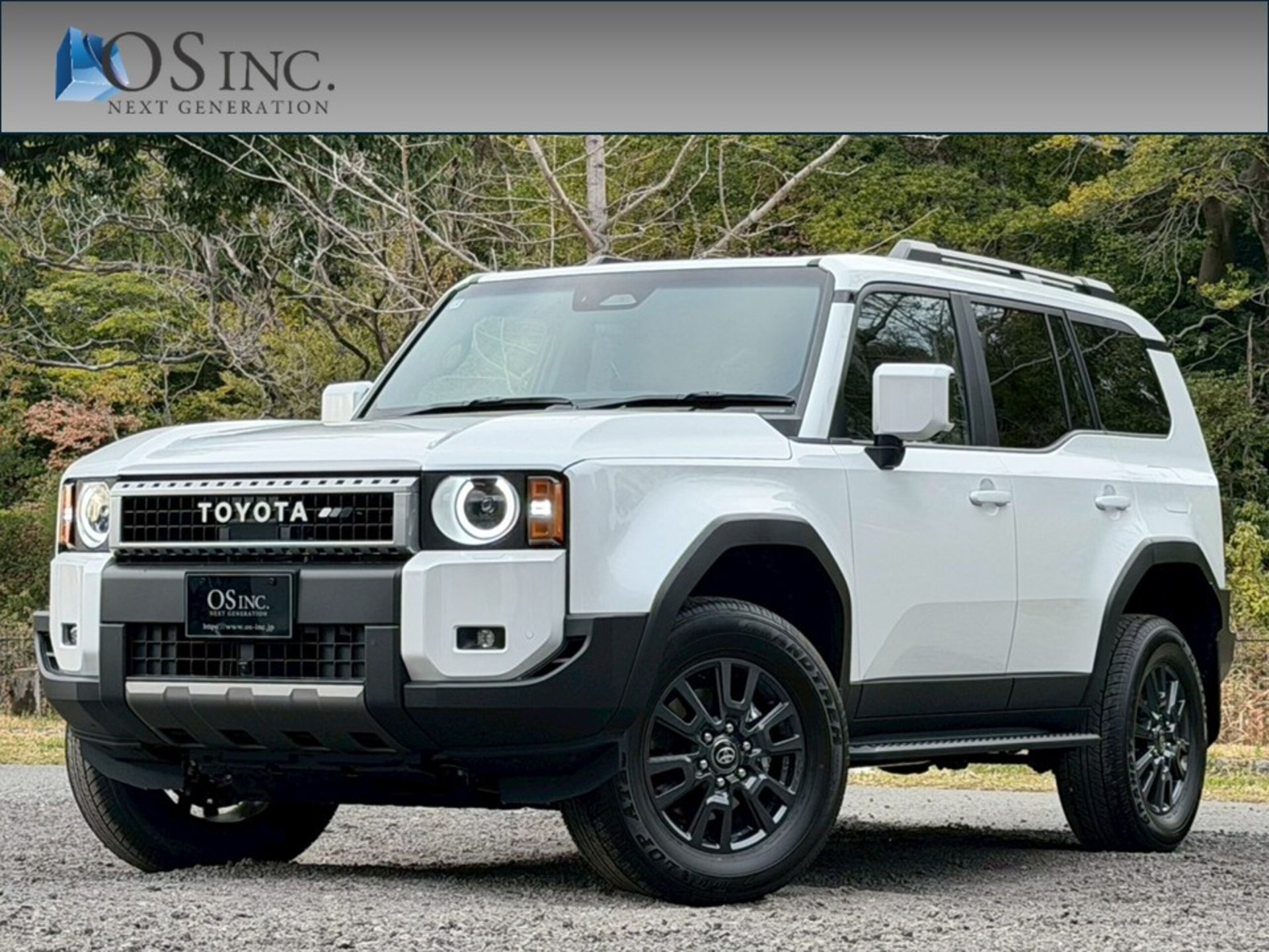 TOYOTA LAND CRUISER 250 - View 1