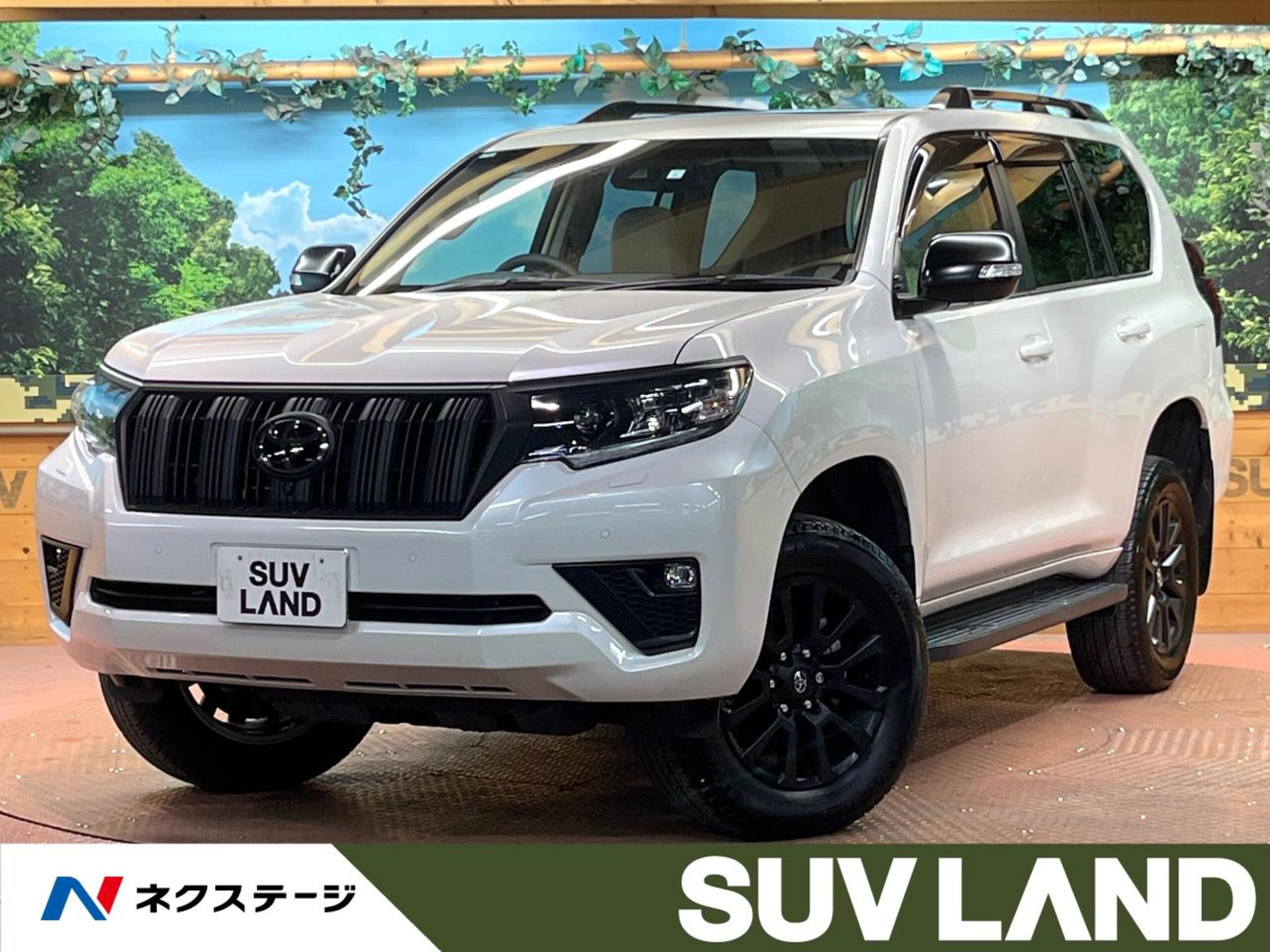 TOYOTA LAND CRUISER PRADO - View 1
