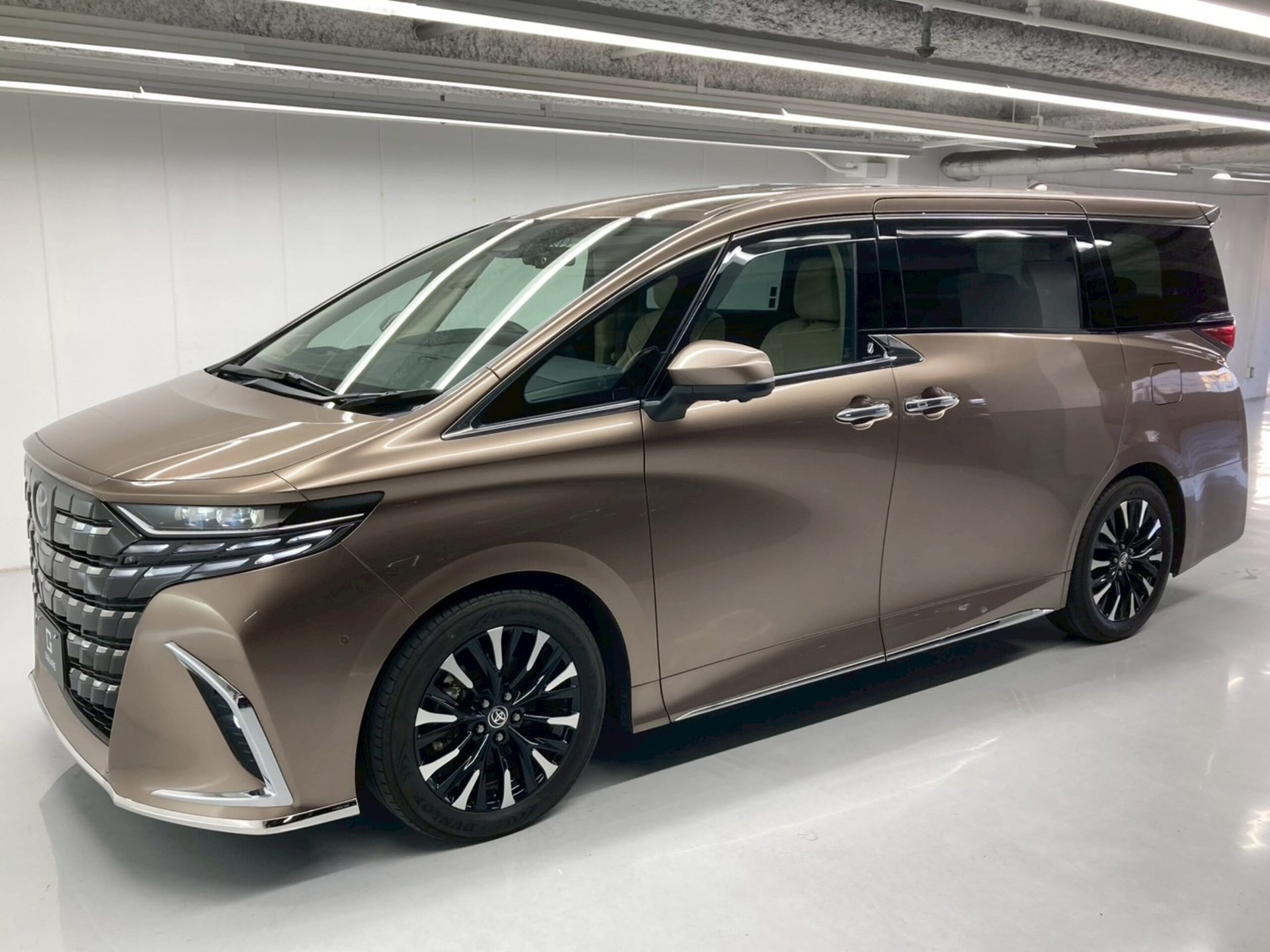 TOYOTA ALPHARD - View 1