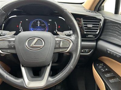 2023 Lexus NX 缩略图 20