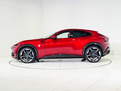 FERRARI PUROSANGUE - 7