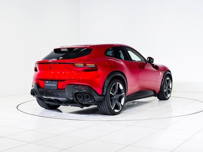 FERRARI PUROSANGUE - 8