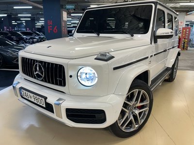 MERCEDES-BENZ G-CLASS - 1
