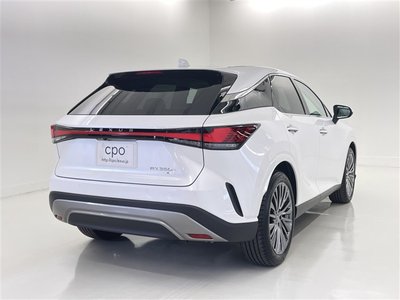 2023 Lexus RX — миниатюра 18