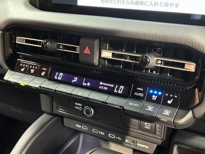 2026 Toyota LAND CRUISER 250 thumbnail 61