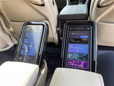 TOYOTA ALPHARD - 10