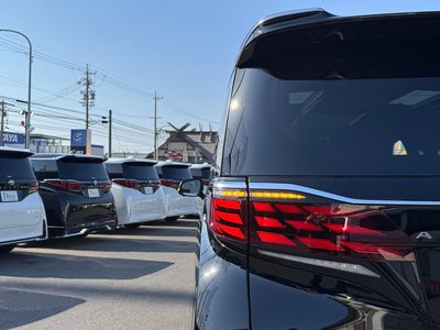 2026 Toyota ALPHARD 缩略图 28