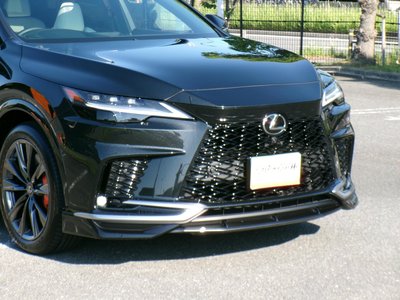 صورة مصغرة 19 لـ 2025 Lexus RX