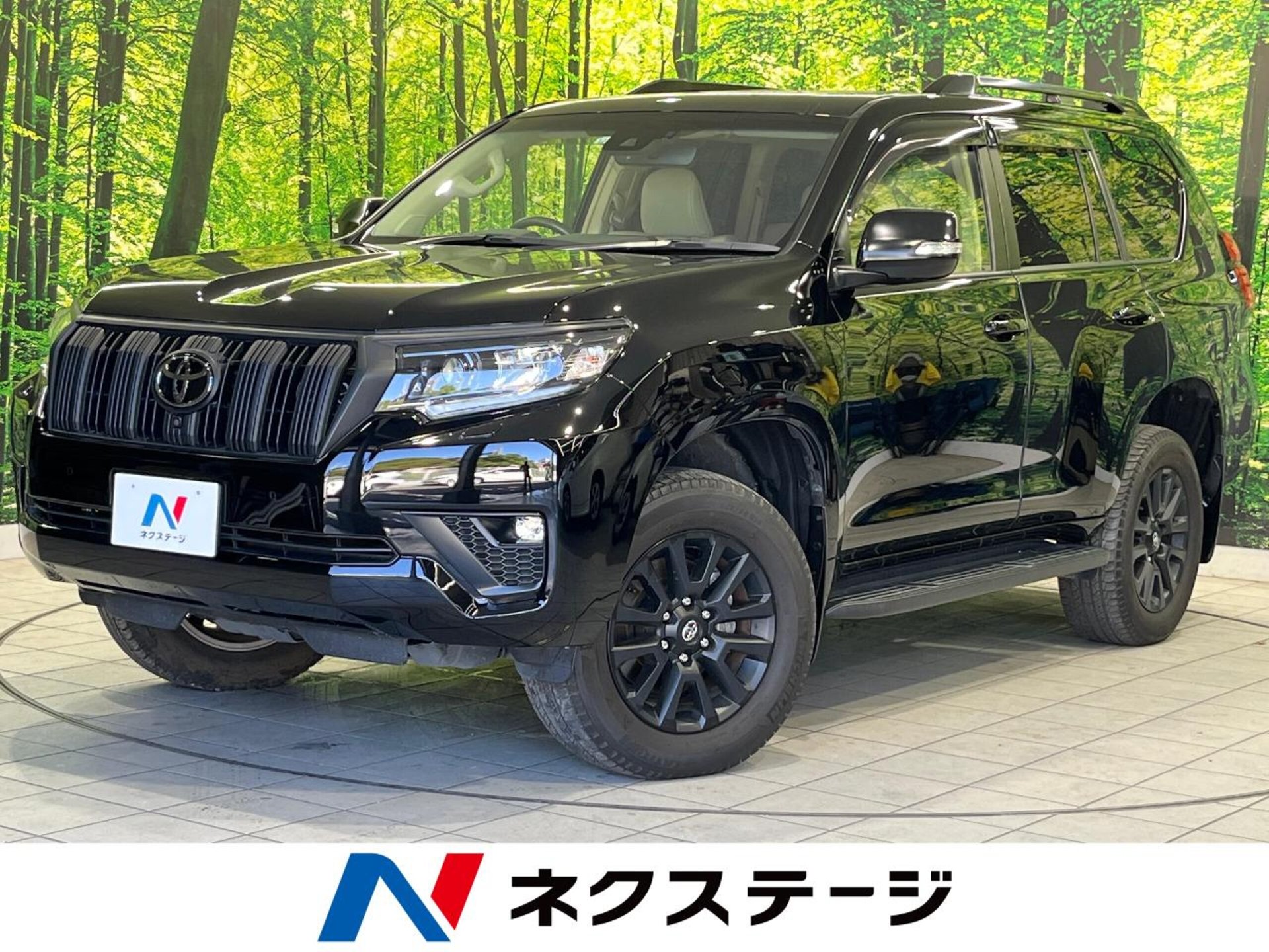 TOYOTA LAND CRUISER PRADO - View 1