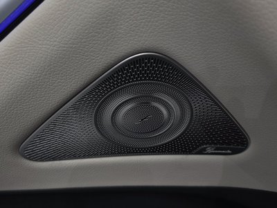 2021 Mercedes-BENZ S-CLASS 缩略图 29