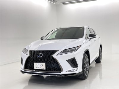 2021 Lexus RX photo 1