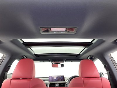 2021 Lexus RX photo 6