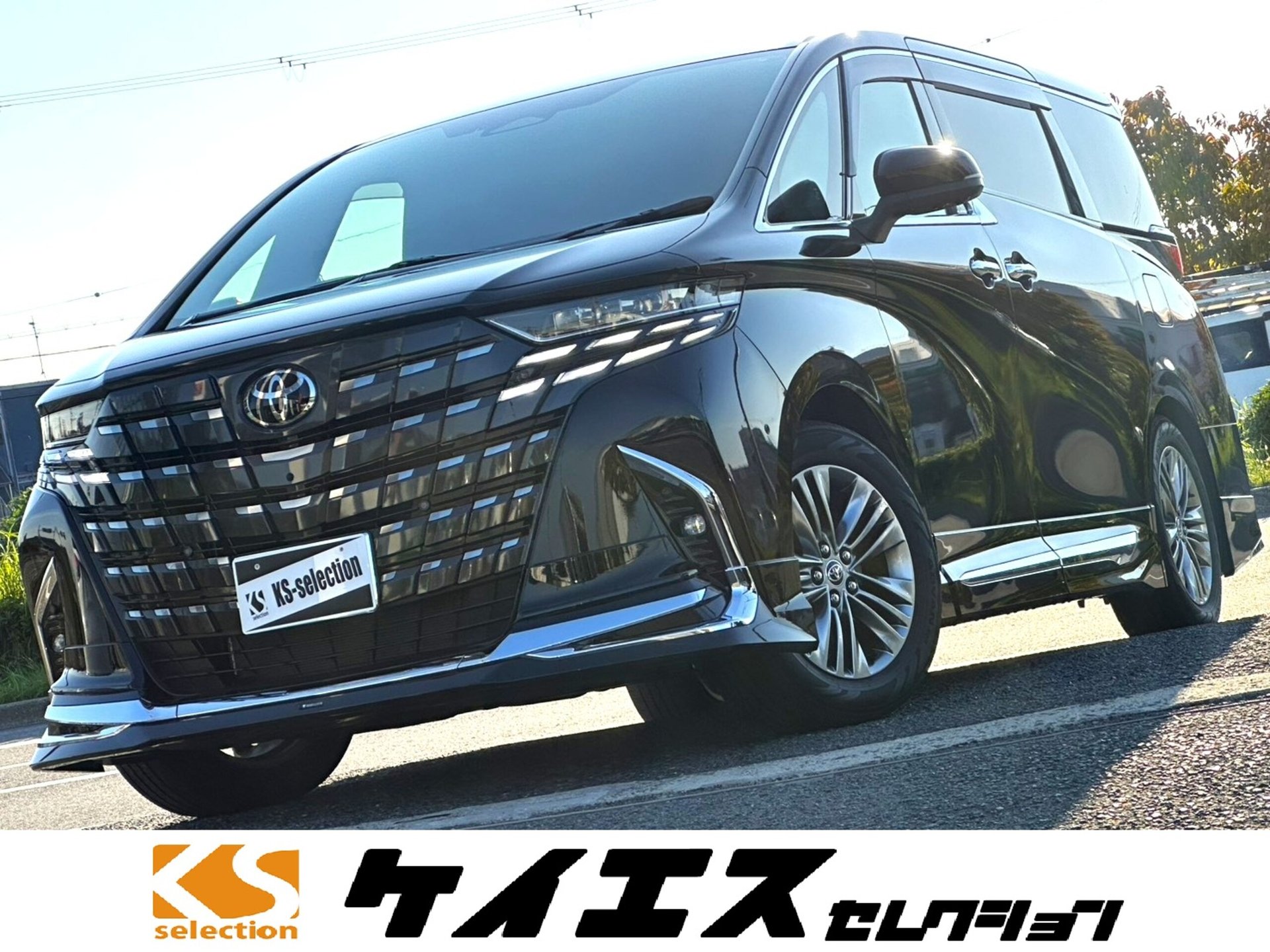 TOYOTA ALPHARD - View 1