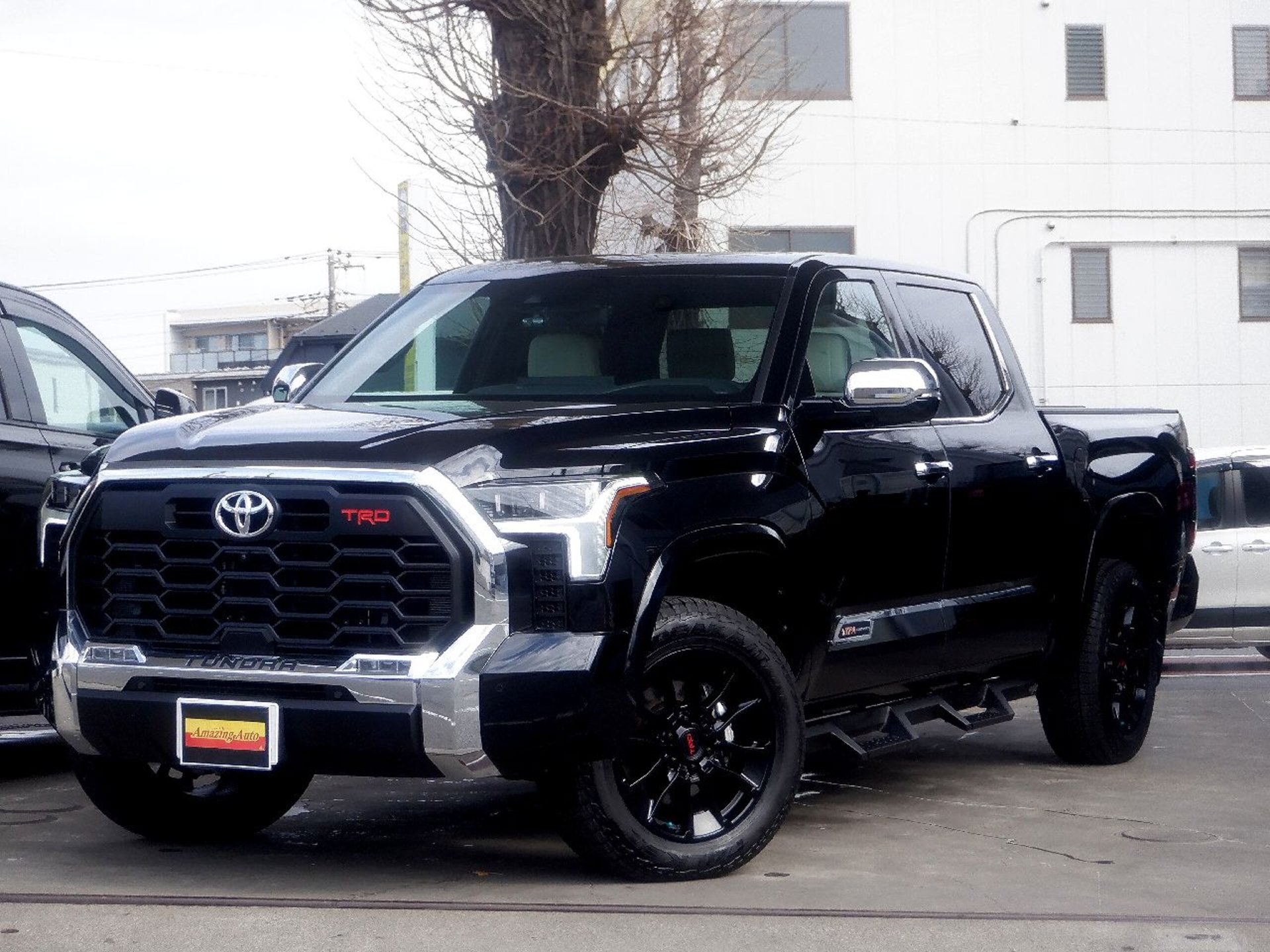 TOYOTA TUNDRA - View 1