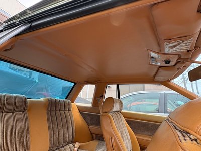 صورة 63 لـ 1979 Nissan SYLVIA