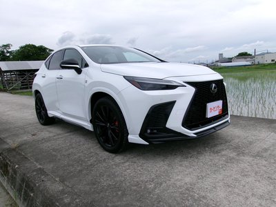 2024 Lexus NX 照片 1
