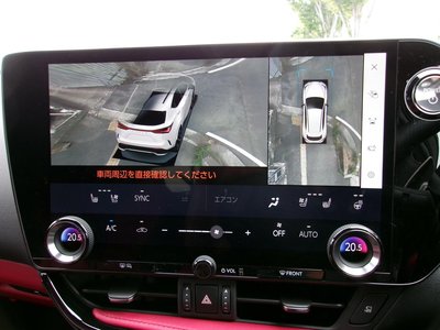 2024 Lexus NX 缩略图 21