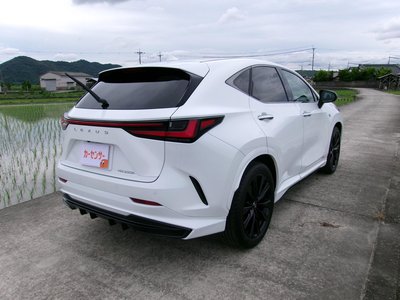 2024 Lexus NX 照片 4