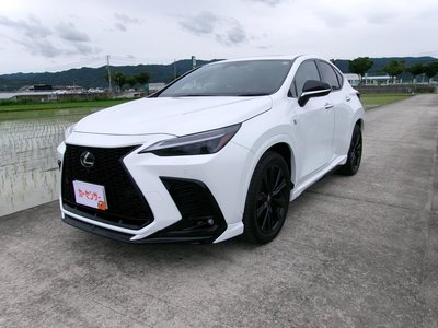 2024 Lexus NX 照片 3