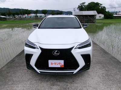 2024 Lexus NX 照片 2