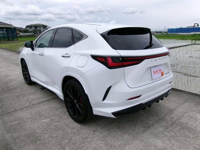 2024 Lexus NX 照片 6