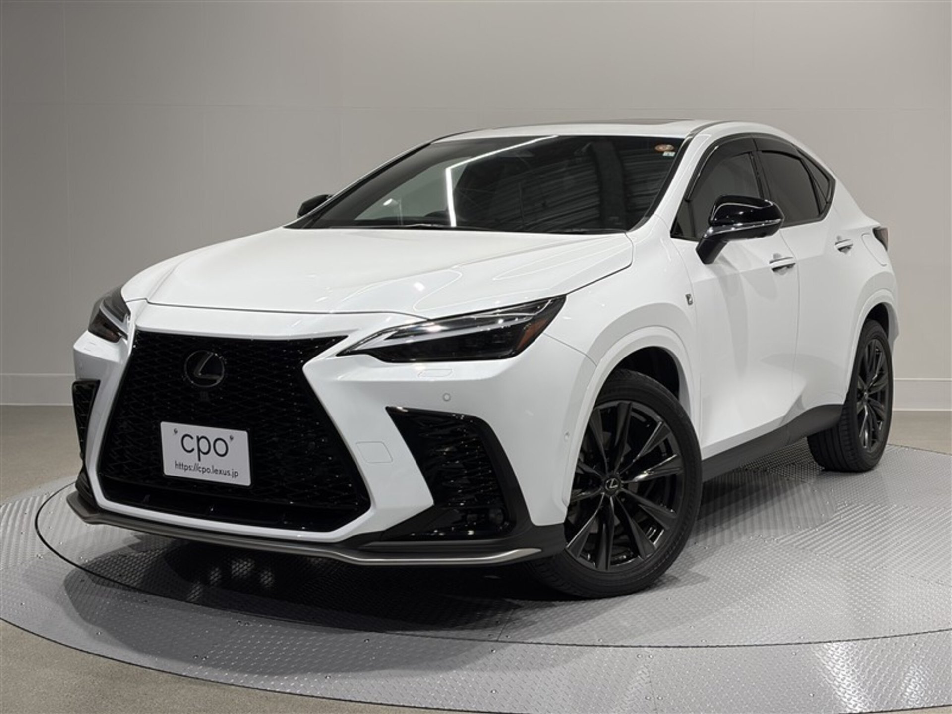 LEXUS NX - View 1
