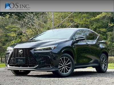 LEXUS NX - 1