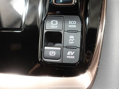 2025 TOYOTA ALPHARD thumbnail 30