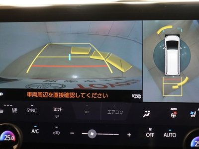 2025 TOYOTA ALPHARD thumbnail 13