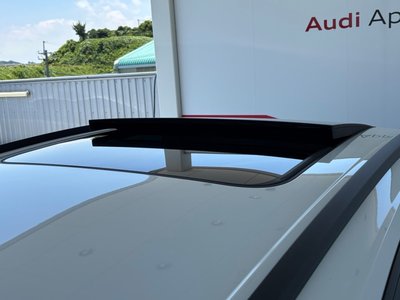 2024 AUDI RS Q8 thumbnail 37