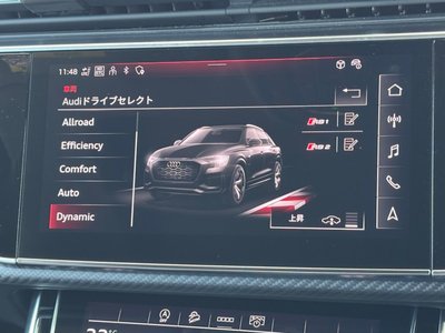 2024 AUDI RS Q8 thumbnail 29