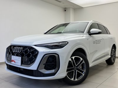 2026 AUDI Q5 缩略图 17